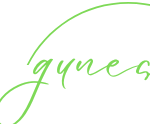 gunesh.org-logo